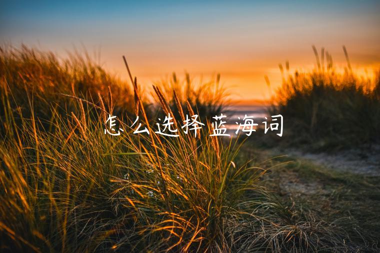 怎么選擇藍(lán)海詞